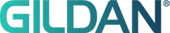 GILDAN 2